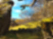110301325_304462997575526_16380143009300