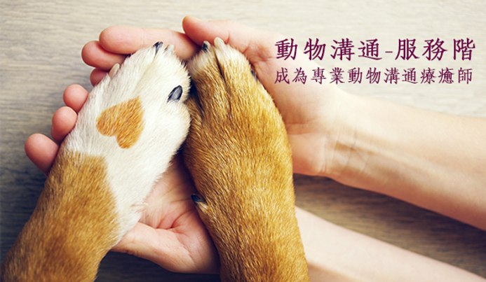 課程_動物溝通服務階.png