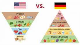 Die Ernährungspyramide USA 2026: Warum die USA uns beim Thema Ernährung voraus sind