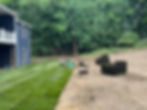 IMG_0599.jpeg