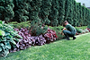 landscaping.png