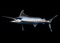 R-Mended Metals - Stainless Swordfish