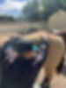 Kim Lucien Equine Bodywork and Biomechanics Los Angeles Venture County