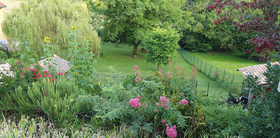 Jardin fleuri