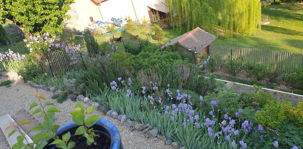 Vue sur le jardin
