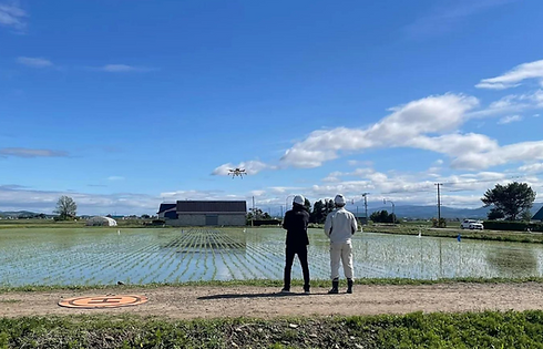 水田で農業ドローンを操縦する２人