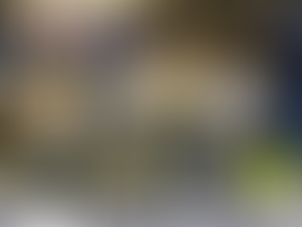 Renlita at IBS: A New Chapter Takes Shape