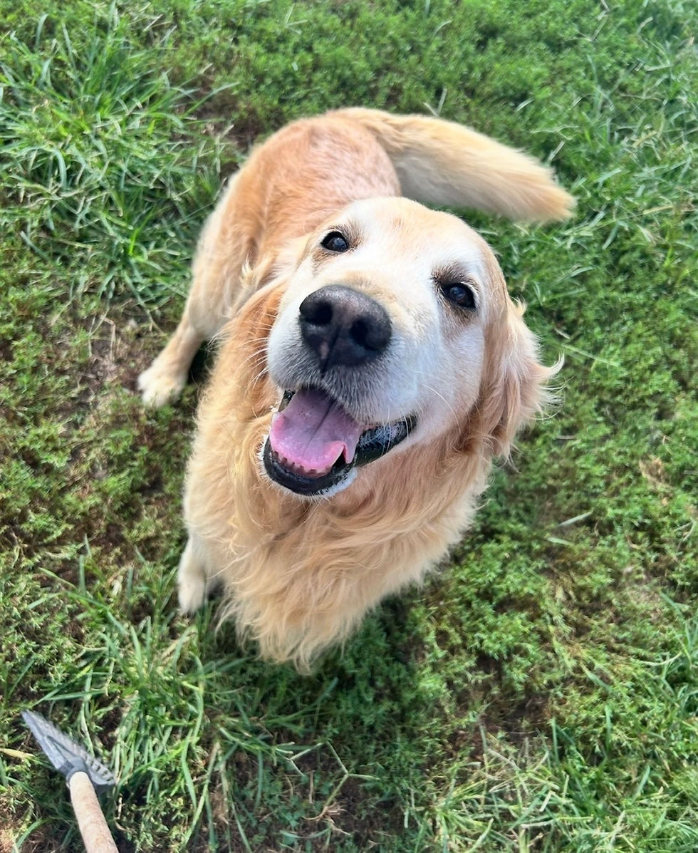 IMG_5549