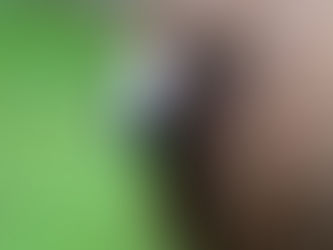 Schafwollisolation und ihre Superkräfte