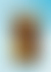 The Crucible of Doubt: Dostoevsky’s Faith