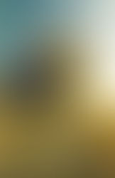 What Makes Education Catholic: Spiritual Foundations