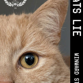 REVIEW: LET SLEEPING CATS LIE