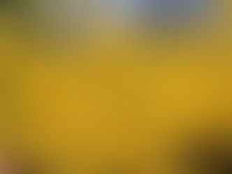 Horticulture: Woody Ornamental Part II