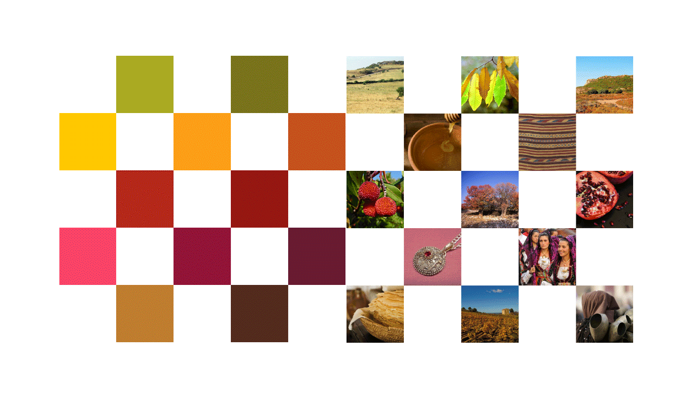 06. colori.gif