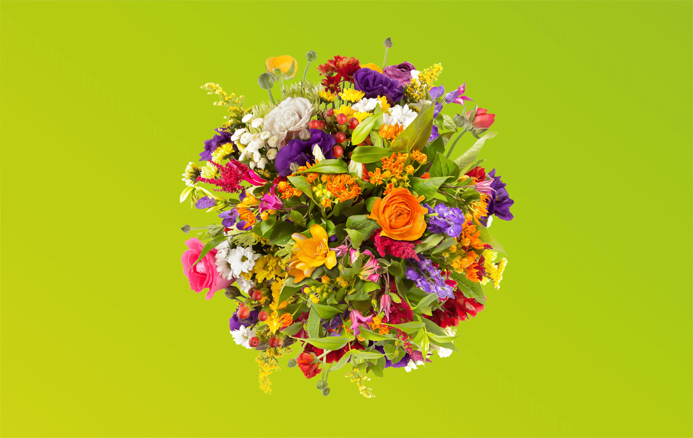 Animazione-fiore.gif