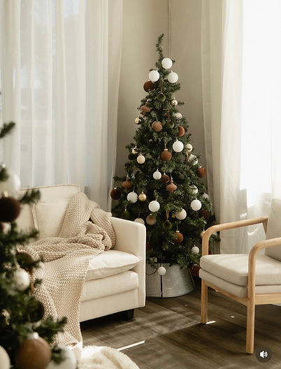 Michelle Hardy Photography- Holiday Mini Session - Denver, CO.jpg