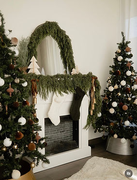 Michelle Hardy Photography- Holiday Mini Session - Denver, CO.jpg.jpg