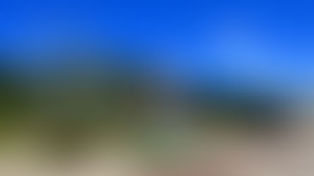 Parque Capivari abre temporada de Páscoa e espera receber 350 mil visitantes nos próximos 45 dias