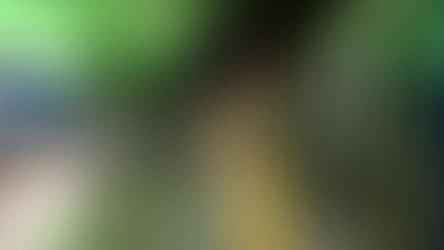 Metrô de São Paulo anuncia gols do Brasil com áudio de Cafu