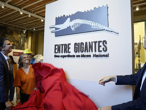 Museu Nacional do Rio reabre para exposição sete anos após incêndio