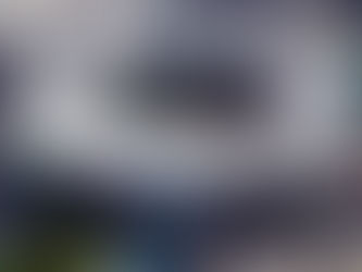 Hellmann's é o mais novo patrocinador oficial do Allianz Parque em 2024