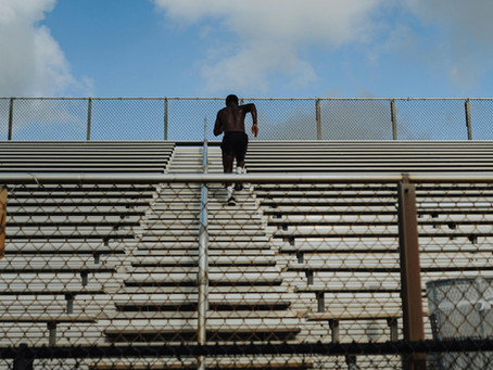 What is Discipline?