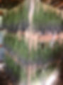 IMG-0141_edited.jpg