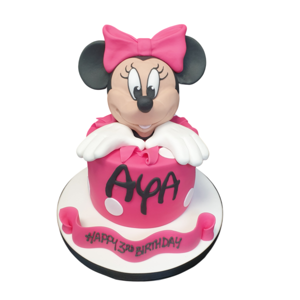 Adorable Minnie Mouse head shaped cake perfect for a themed birthday celebration. Made with attention to detail, this cake is sure to impress your guests.