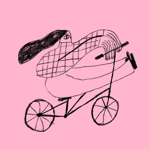 Your Plan, and Then There’s Real Life