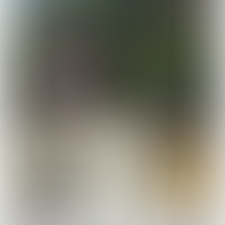 The Balinese Secret to Harmony (and How We Can Bring It Home)