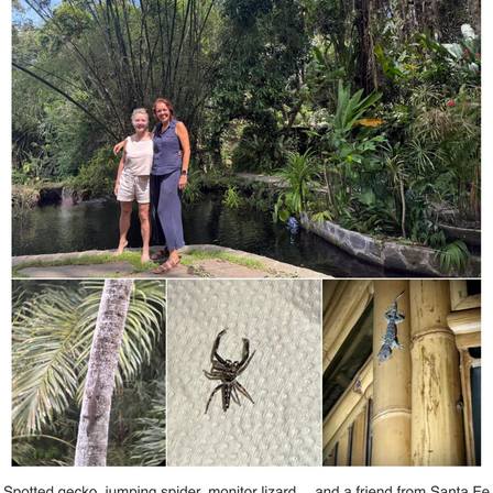 The Balinese Secret to Harmony (and How We Can Bring It Home)