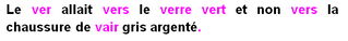 Le pire homophone du français...