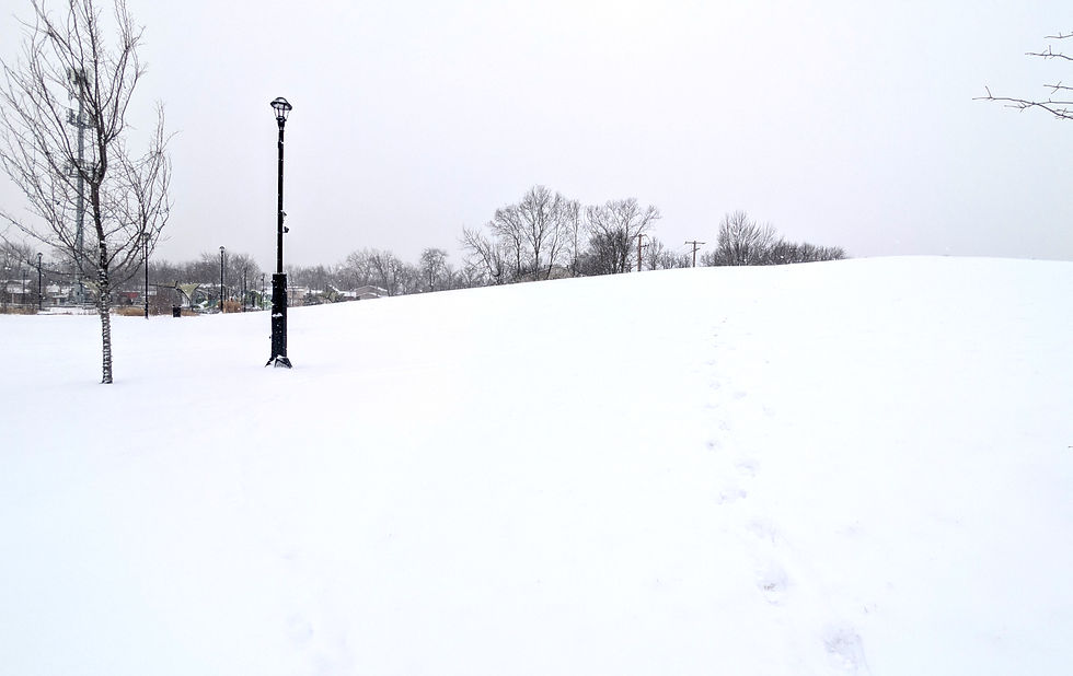 High angle view of a snow-covered hill with sled tracks at The Grove in Bourbonnais