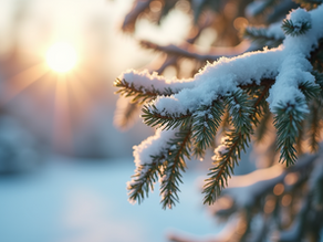 Listening Between Seasons: When Intuition Wears a Sweater