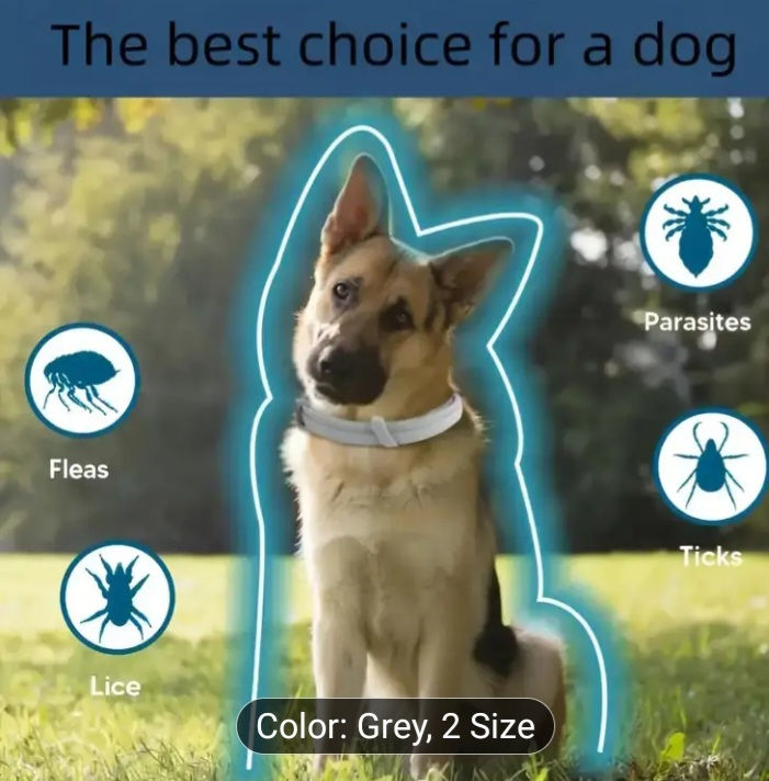 Противопаразитна каишка Fudisenn, 70см, силикон, бяла, за кучета и котенца, защи