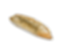 Baguette with Onion