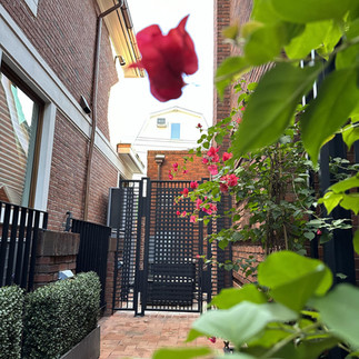 Custom French-Style Metal Gates by Iron Group Corp