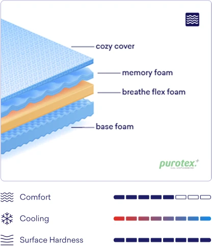 regular one eng.webp