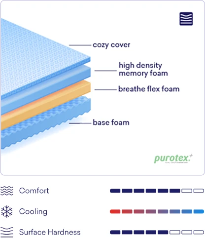 regular one plus eng.webp