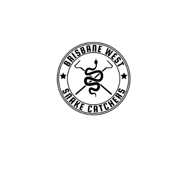 Design 2 transparent.png