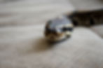 shutterstock_773553232.jpg