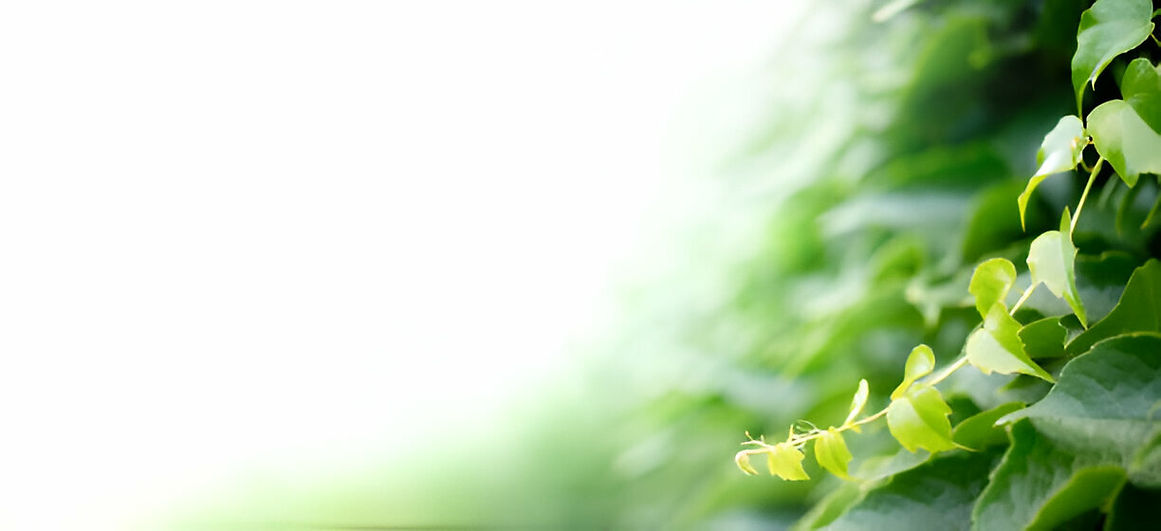 [GetPaidStock.com]-682231f1a2599 (1).jpg