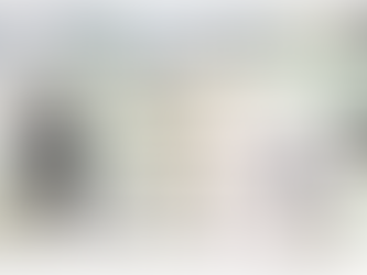 What the Lizard on a North Carolina Driver’s License Means — A Notary’s Perspective from Kitty Hawk, NC 