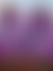 Adult Performers Bonnie Blue and Leilani May Are Crashing Spring Break in Cancun To Shoot Porn