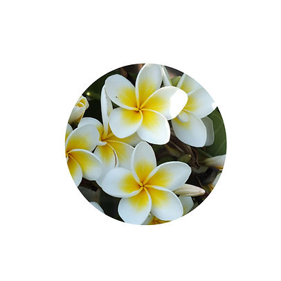 Homepage - Workshops und Kurse - Mini Retreat