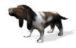 basset_howl_md_wht.gif
