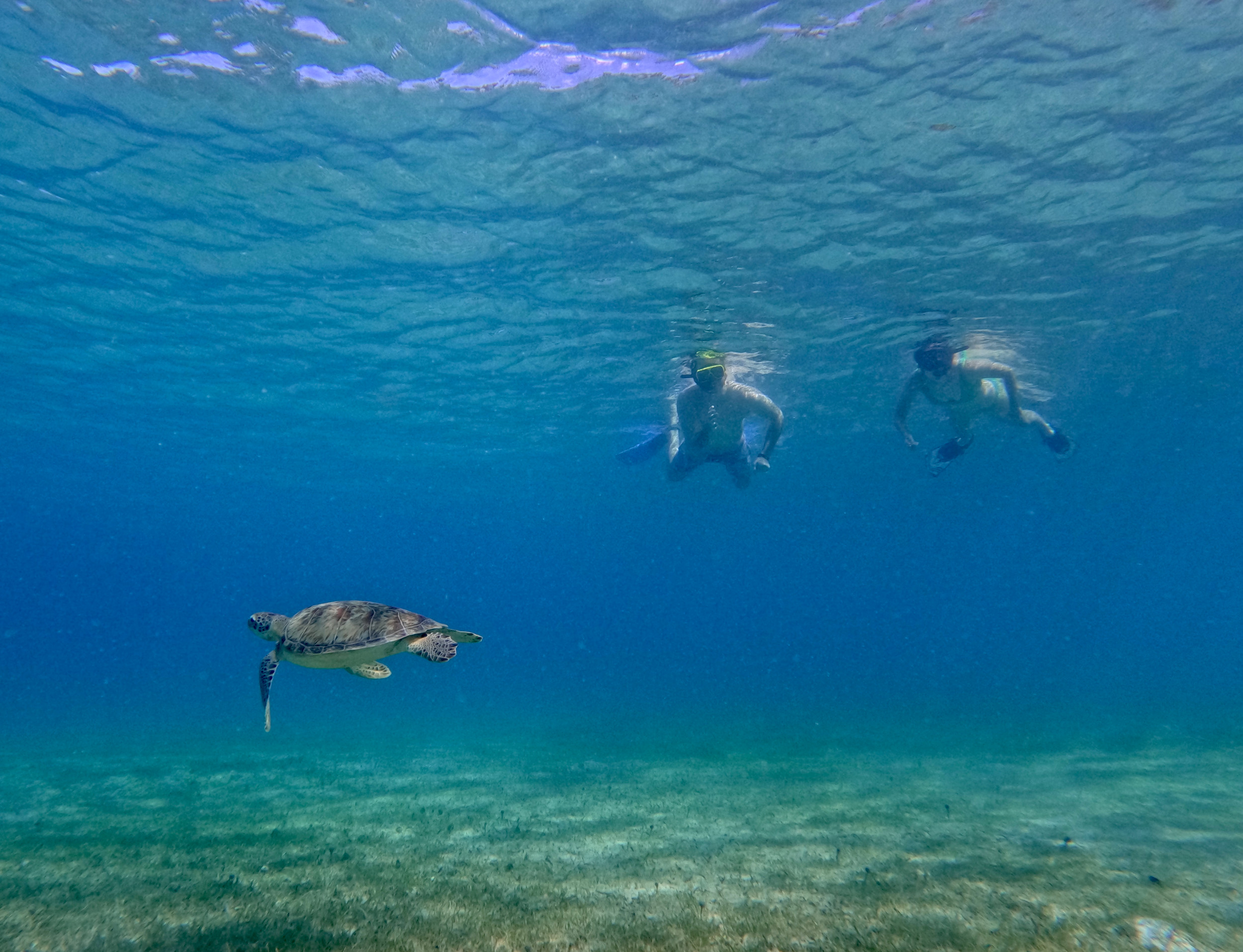 Snorkeling Tours on Culebra Island / Beach Snorkeling Tour on Culebra