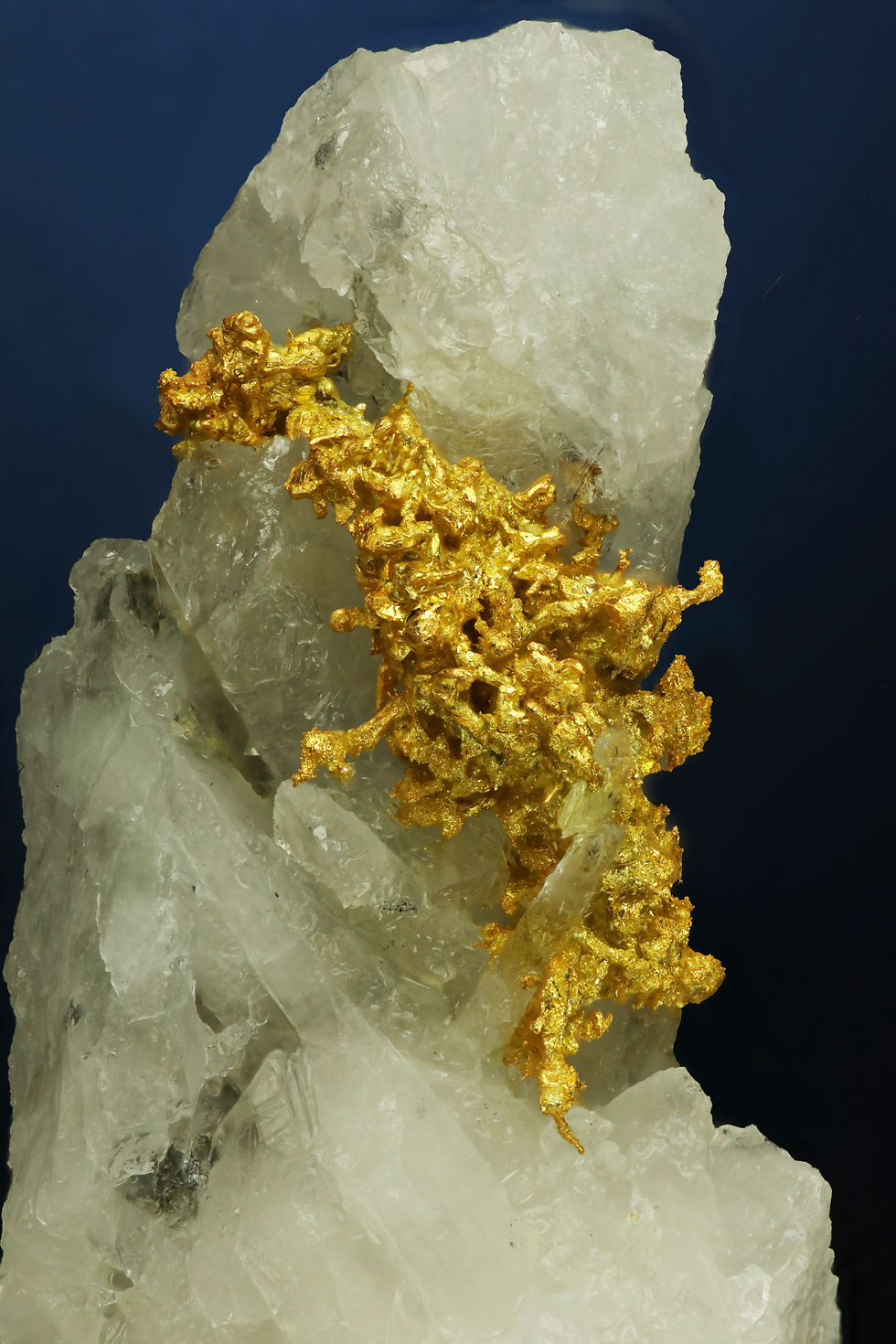 Thumbnail: Wire Gold Cluster Belshazzar Mine, Quartzburg, Boise County, Idaho