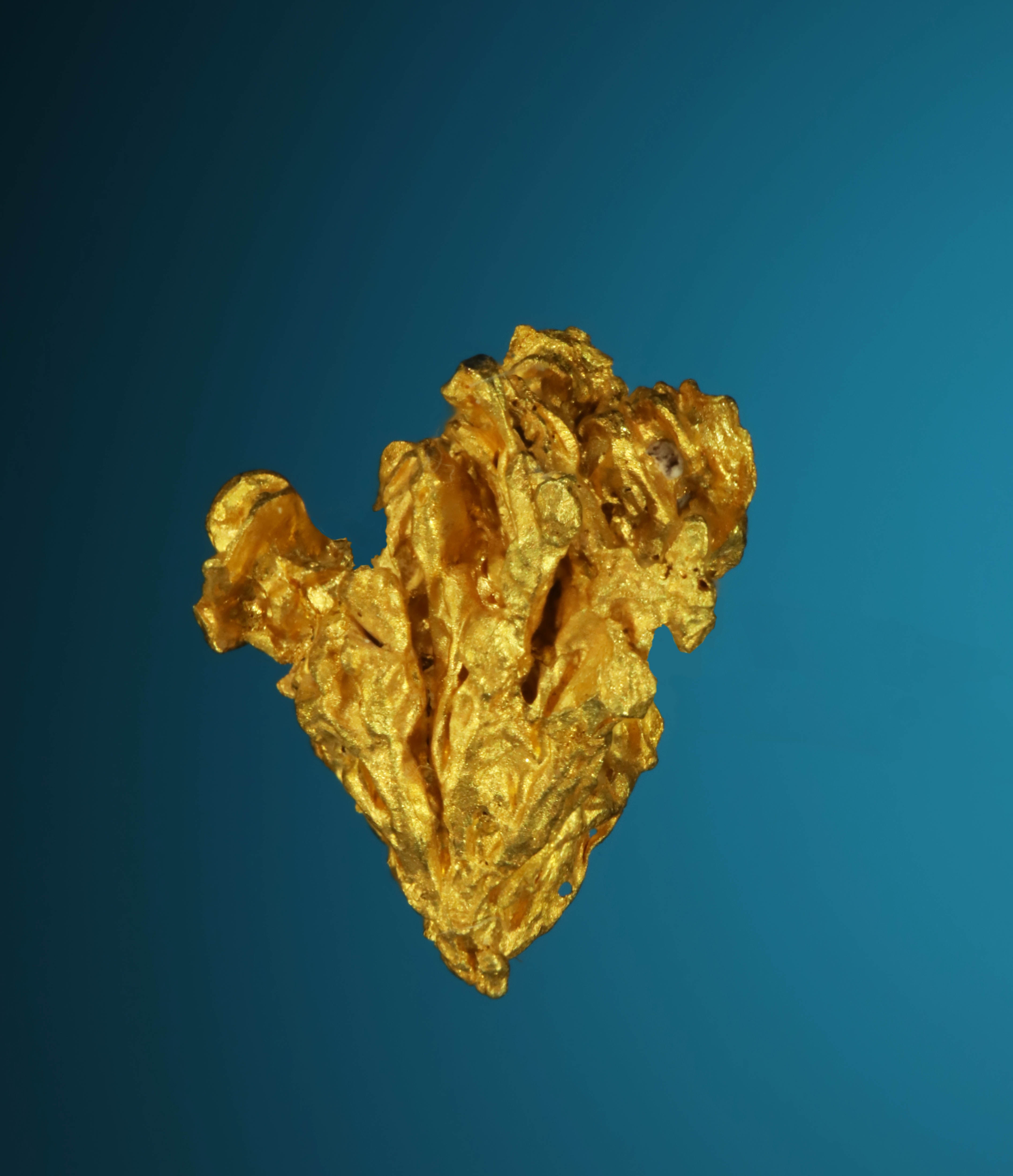 Hoppered Crystallized Gold - El Álamo district, Baja California, México