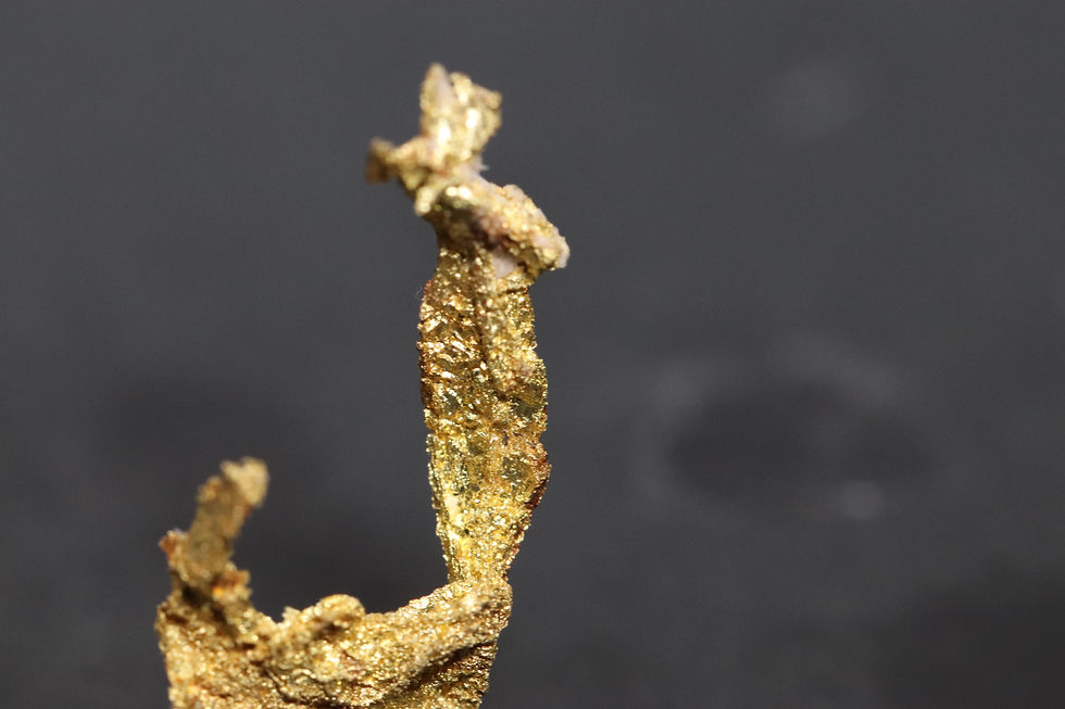 Thumbnail: Native Gold Crystalline "Golden Claw"